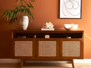 Solid Sheesham Wood TV Unit with Storage for Living Room