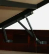 Ranishka Solid Sheesham Wood Storage Beds - Image 5