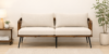 Elite Sheesham Wood 3 Seater Sofa for Modern Living Spaces