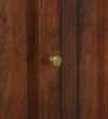 Avenza Modern Sheesham Wood Cabinet with Functional Storage Solution - Image 3