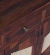 Crestwood Handcrafted Sheesham Wood Cabinet for Stylish Interiors - Image 5
