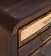 Vintora Solid Wood Organizer Cabinet for Contemporary Homes - Image 4
