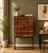 Kael Designer Storage Cabinet in Wenge Finish
