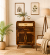 Miro Contemporary Engineered Wood Storage Cabinet in Rich Wenge Finish