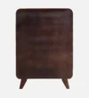Miro Contemporary Engineered Wood Storage Cabinet in Rich Wenge Finish - Image 6