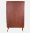 Zeno Modern Bar Cum Storage Cabinet with Glass Doors in Wenge Finish - Image 3